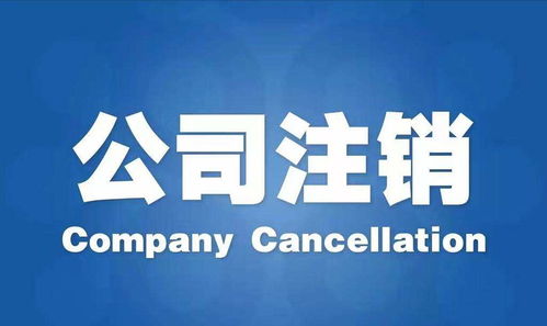 江苏代理注册公司信誉优良，专注广告设计服务